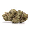Bubble Gum