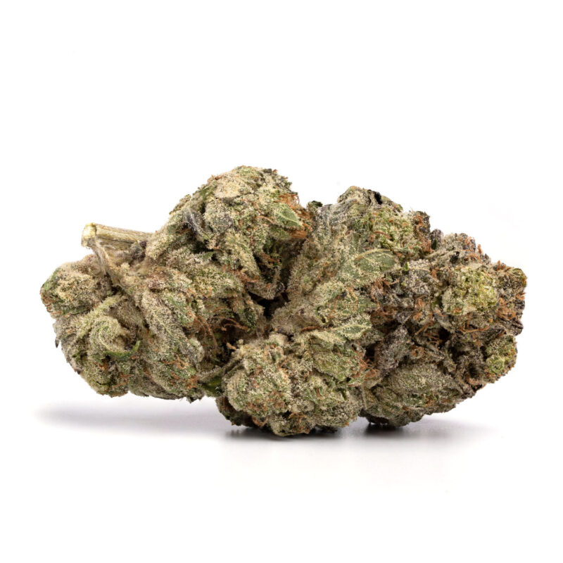 Bubble Gum