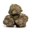 Bubble Gum