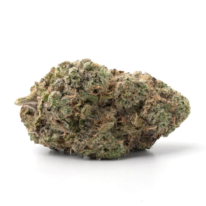 Pink Sherbet