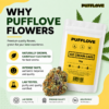 whypuffloveflowers Cali Cookies